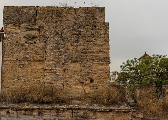 דירה Atico La Casa Rosa - Parking Opcional